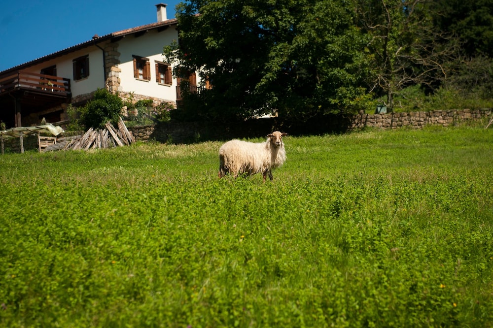 Casa Peluaga