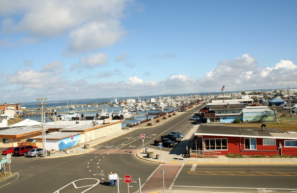 Islander Westport
