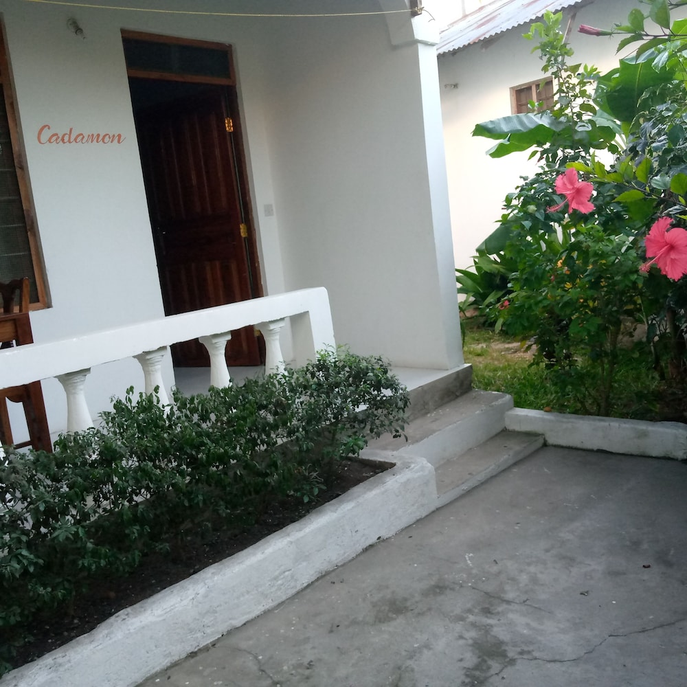 Photo 52