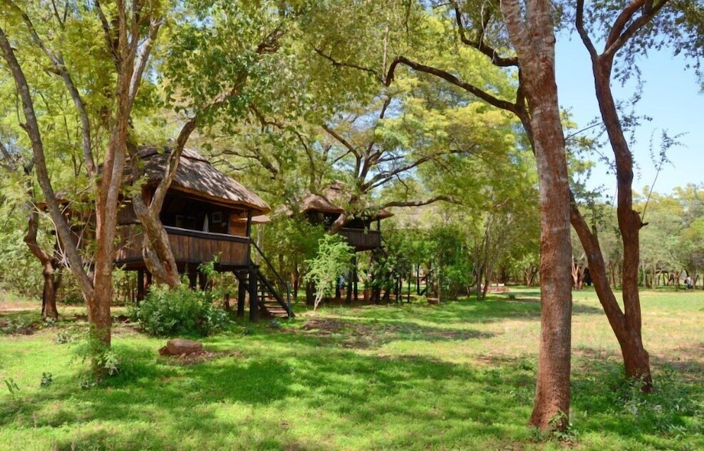 Ivory Lodge