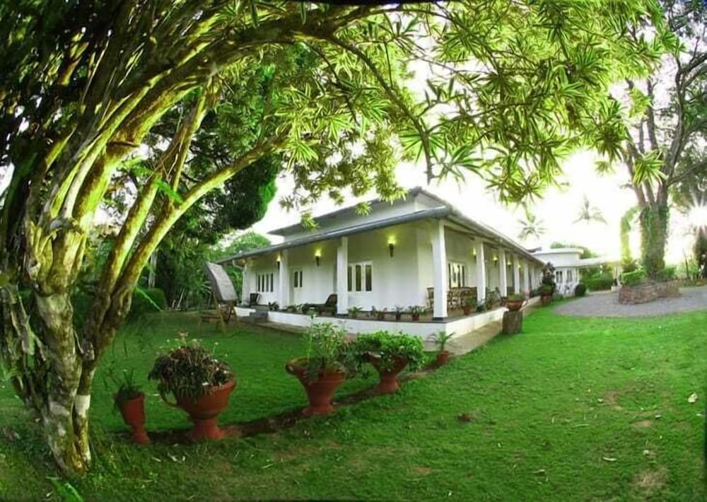 Parisons Plantation Experiences by Abad