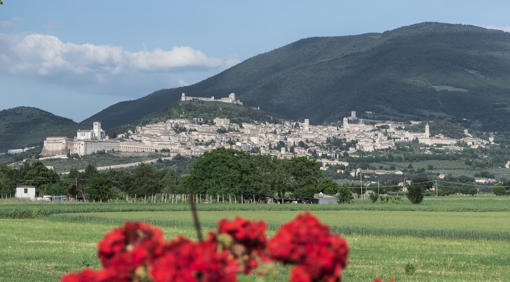 Camere Mariella