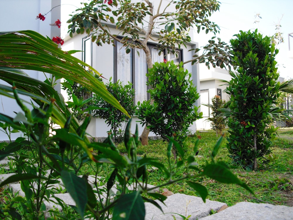 Van Nguyen Minihouse