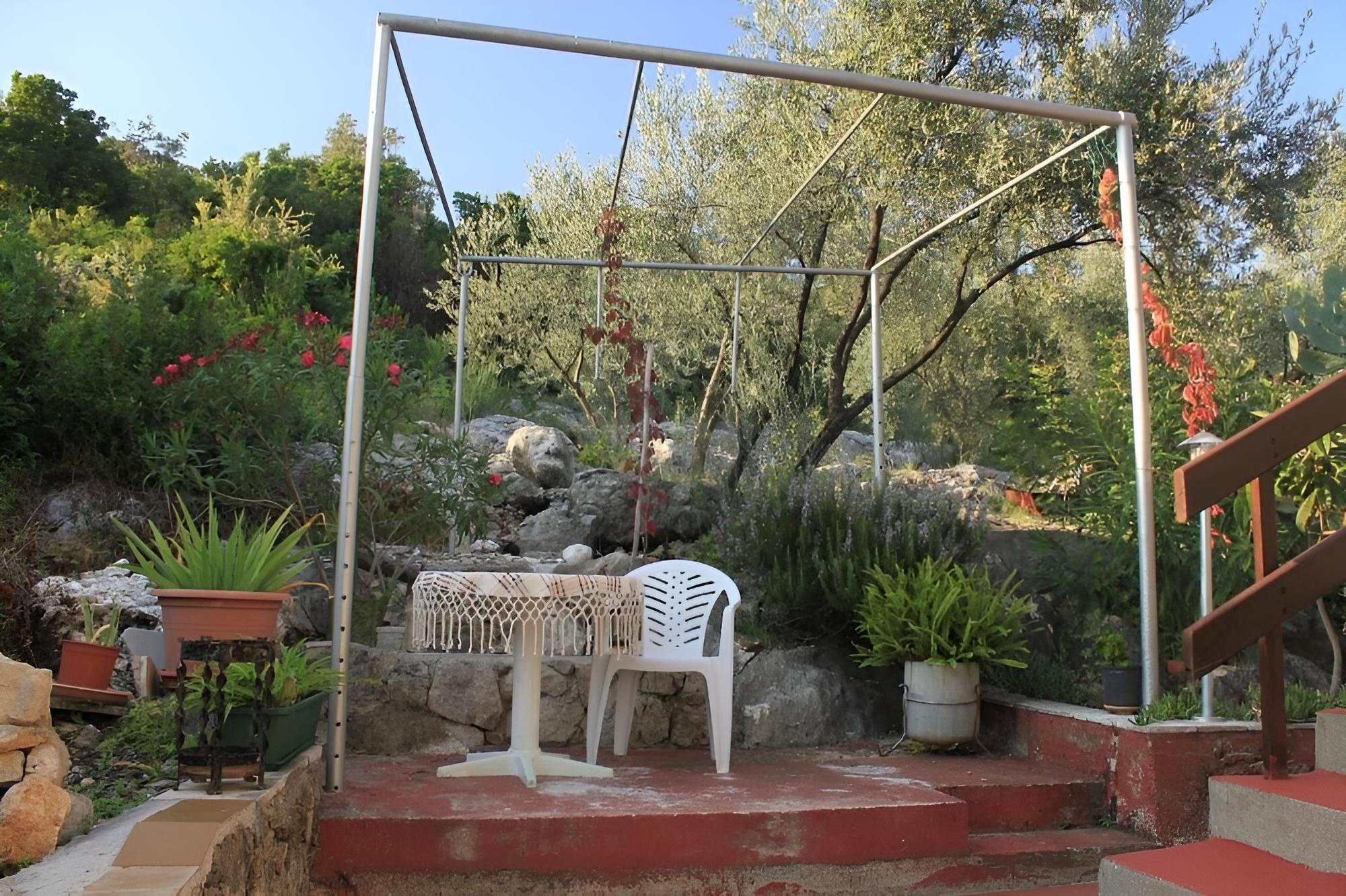 Photo 25