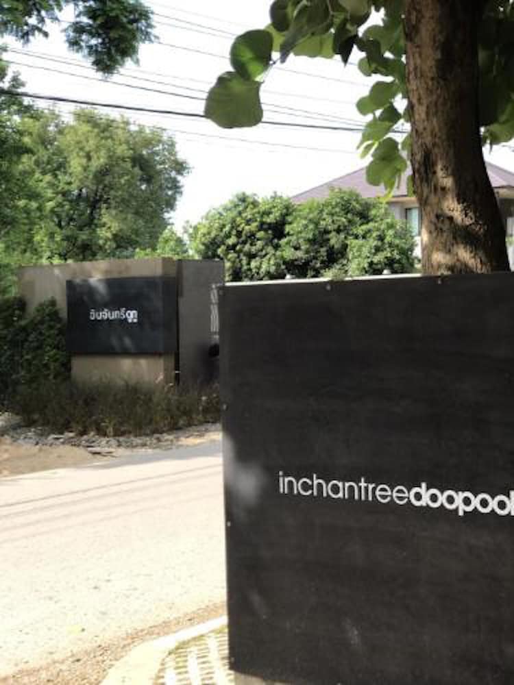 Inchantreedoopool 37