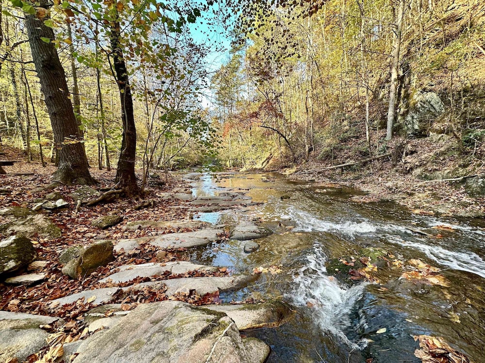 Cove Creek Overlook