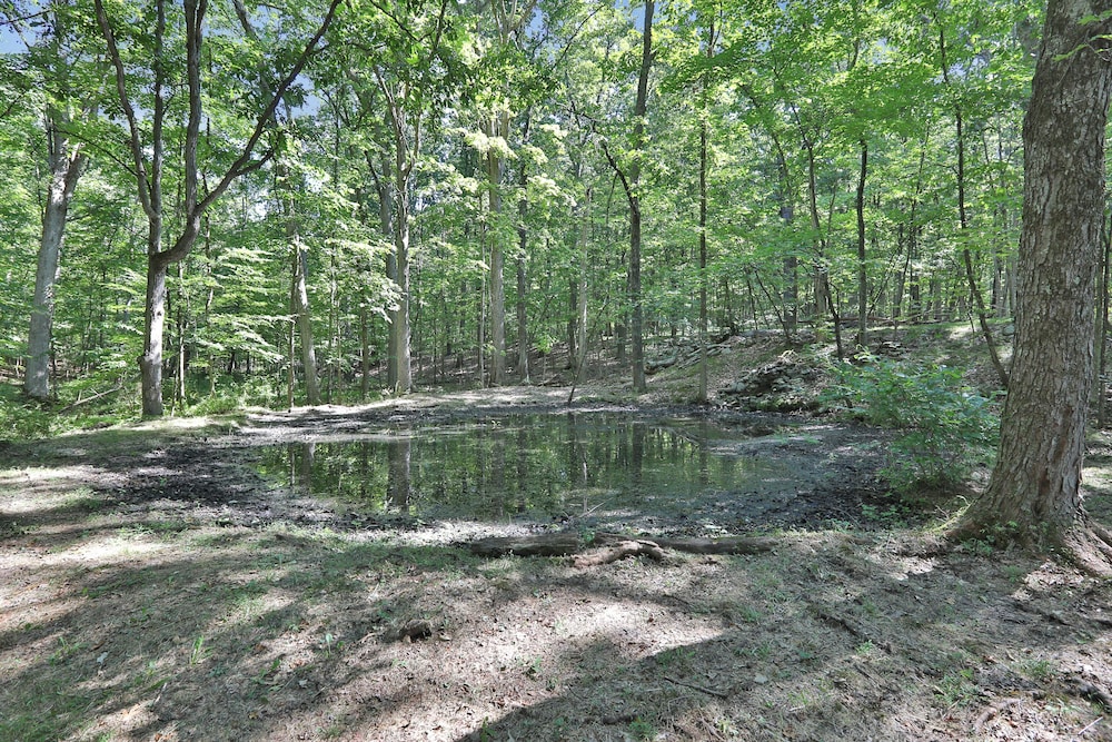 Photo 47