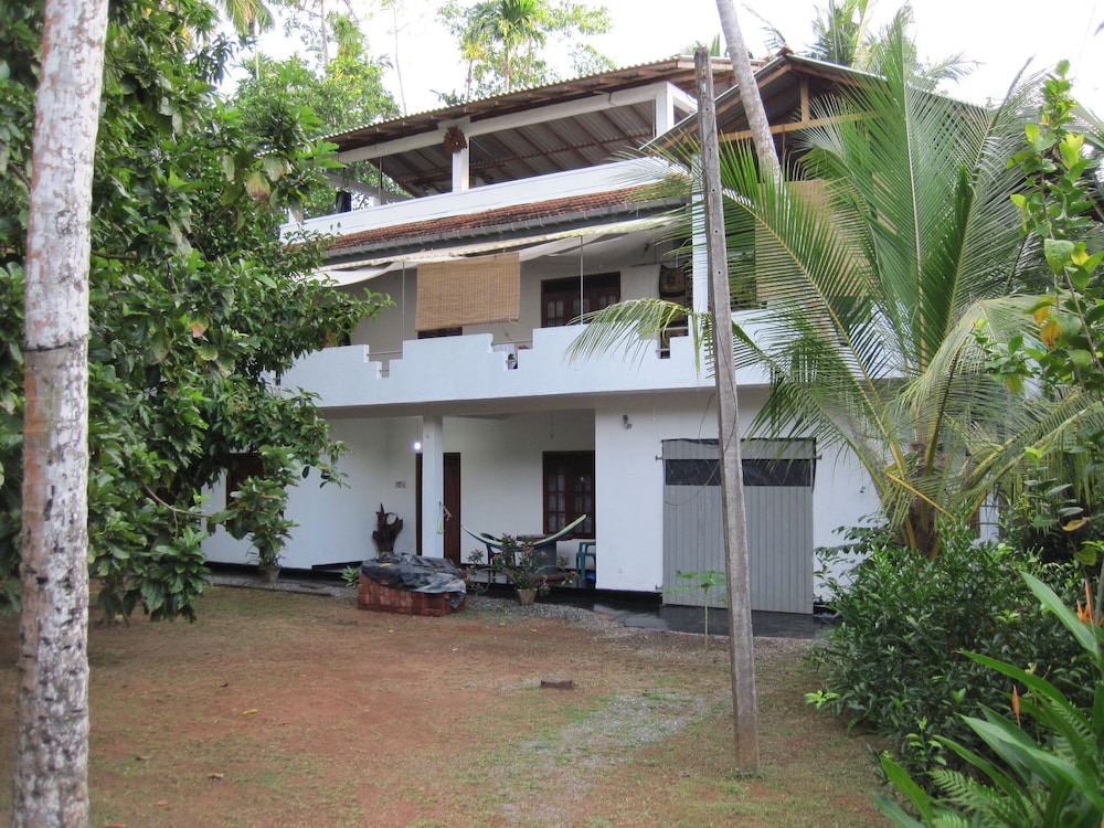 Jungleside House