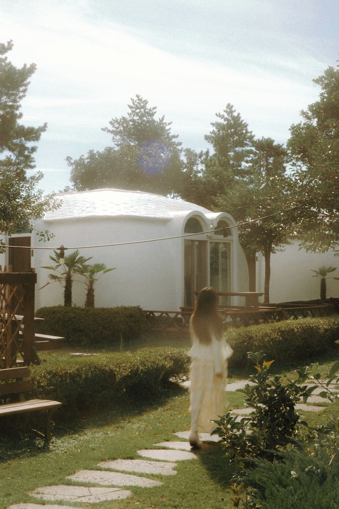 jeju domgrami