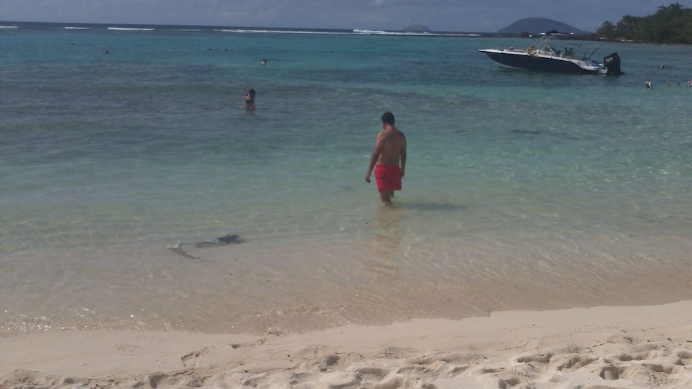 Photo 40