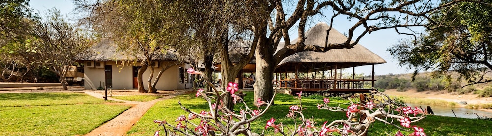 Nyati Safari Lodge