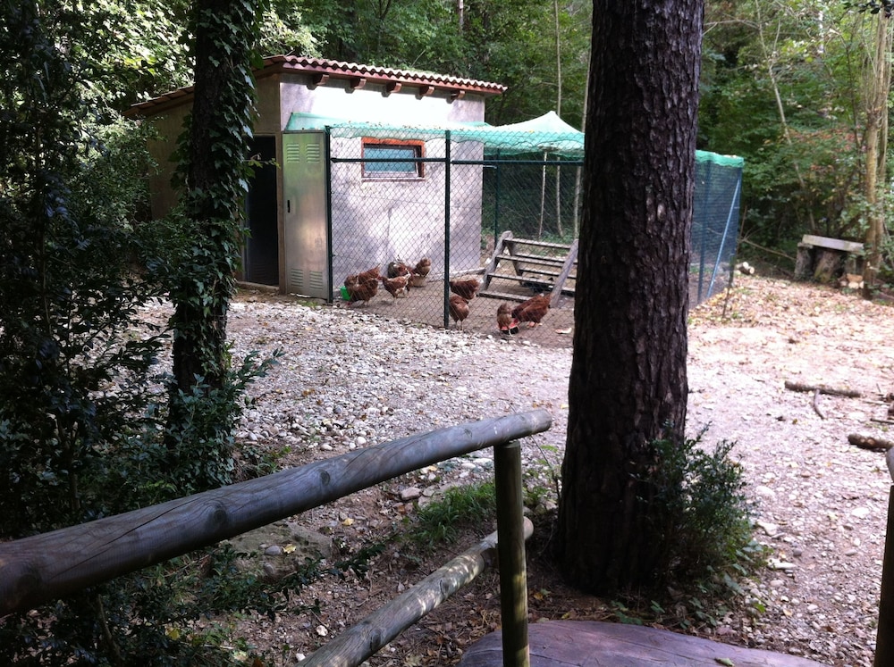Camping Puigcercós