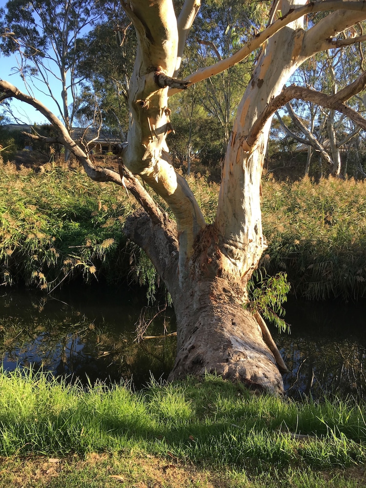 Strathalbyn Gasworks