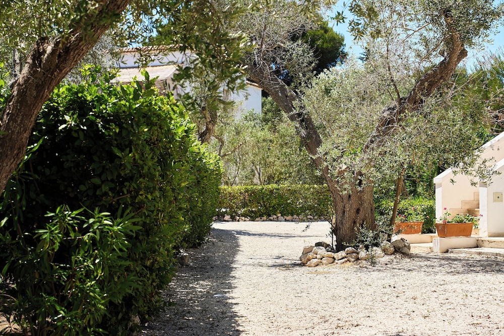Tenuta Belvedere