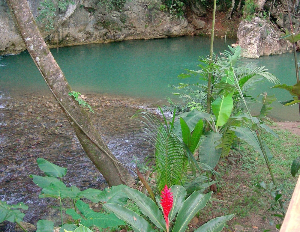 Belize Vacations - Table Rock Jungle Lodge - Property Image 23