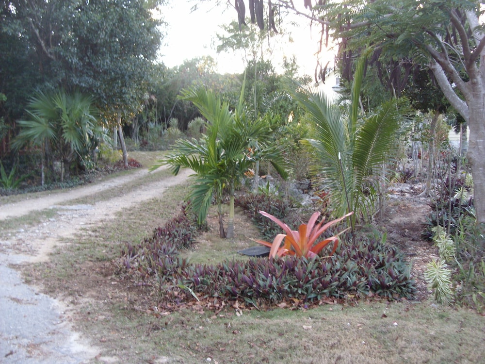 Island Seaside Suites - Property Image 8