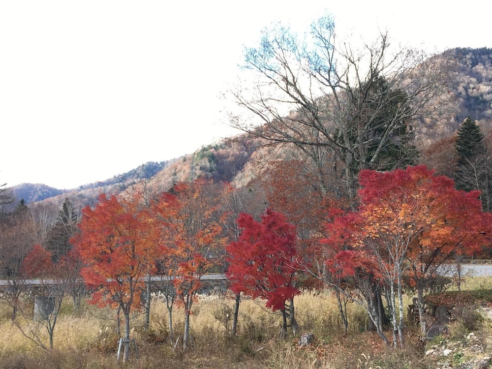 Photo 43