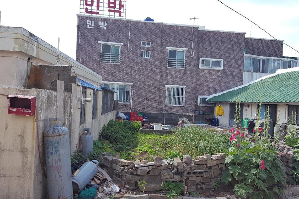 Jeju Sunflower Guest House view 2
