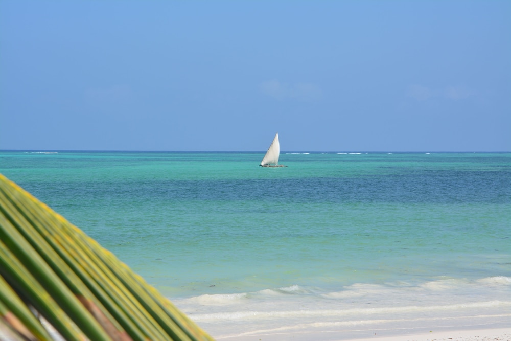 Kiwengwa Vacations - Neptune Pwani Beach Resort Spa Zanzibar - Property Image 91