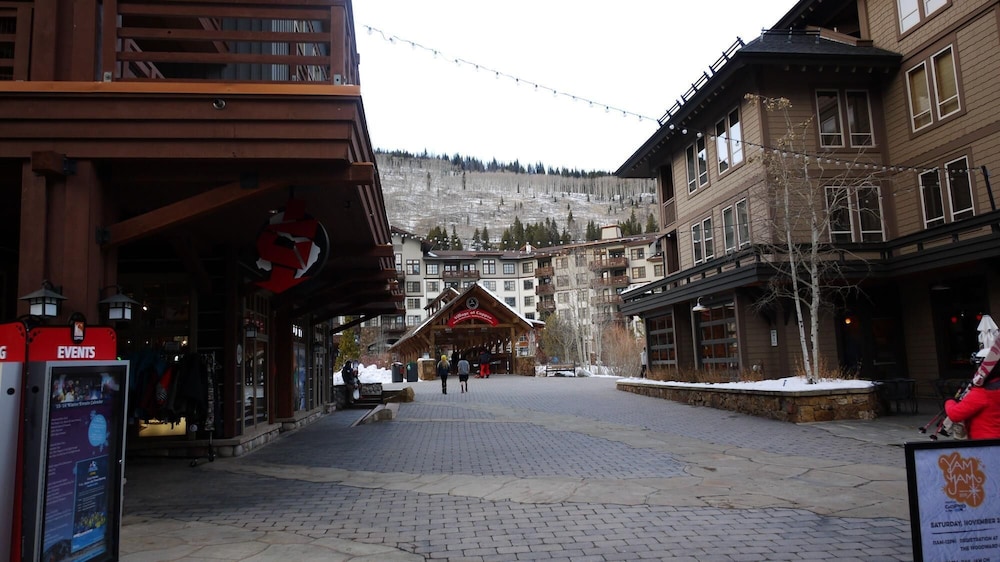 Pet-friendly Very Spacious Condo - BE108 by RedAwning