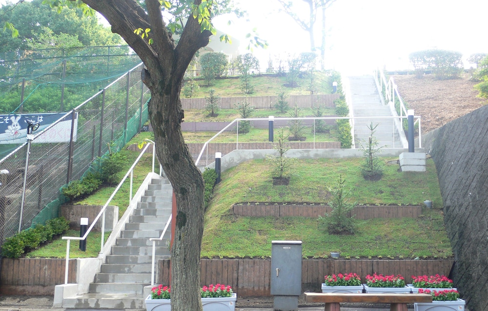 Photo 11