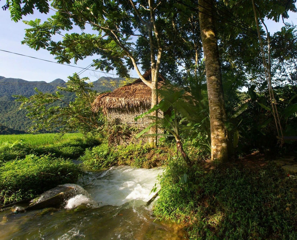 Thai House Pu Luong