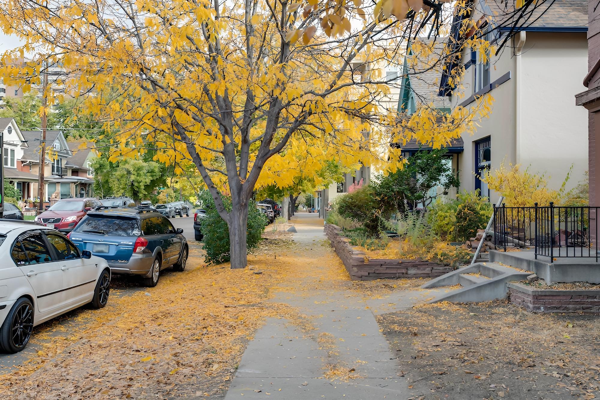 Updated Denver Home Near Parks, Dining & Shops! view 4