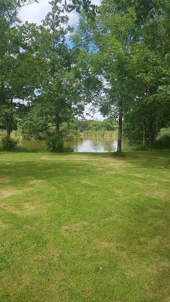Photo 41