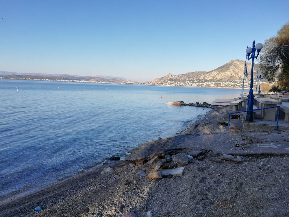 Salamina's Apartment