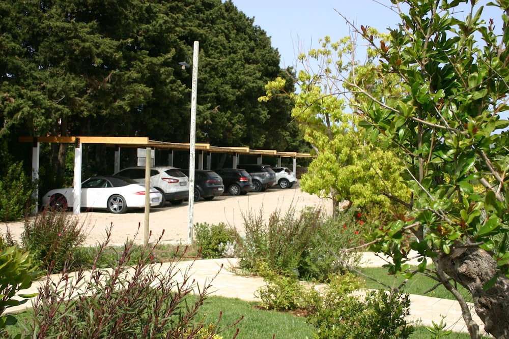 Tenuta Vigna Corallo