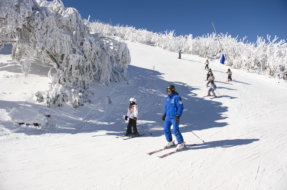 Alpine Retreat Mt Buller