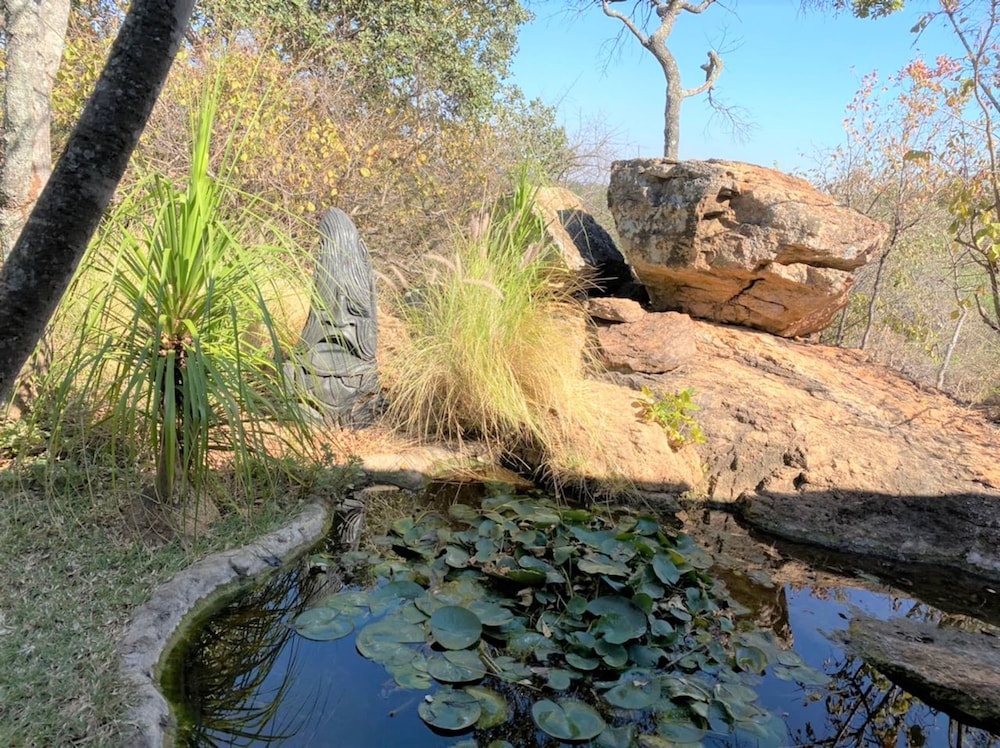 Double Lodge in Natural African Bush - 2112