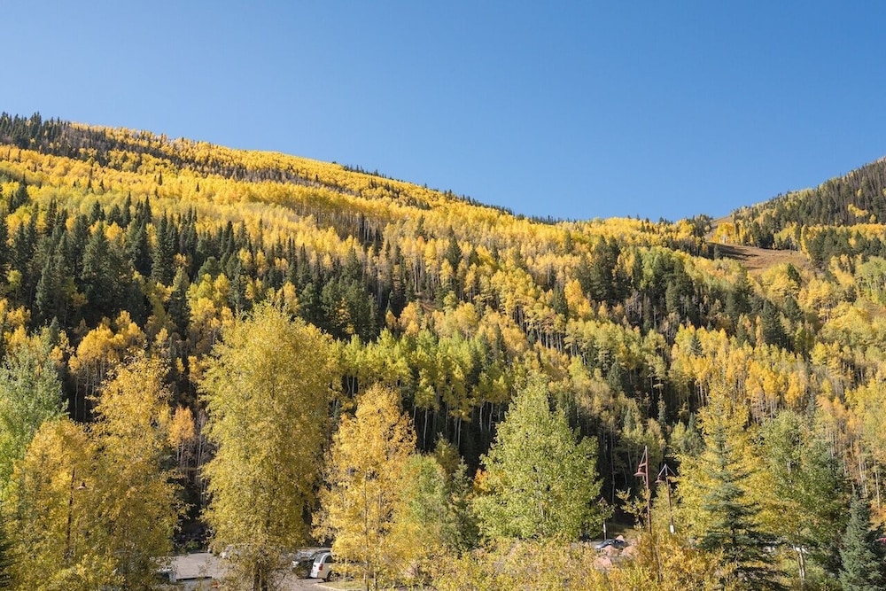 Telluride Ski Resort CO - Viking Lodge Condos