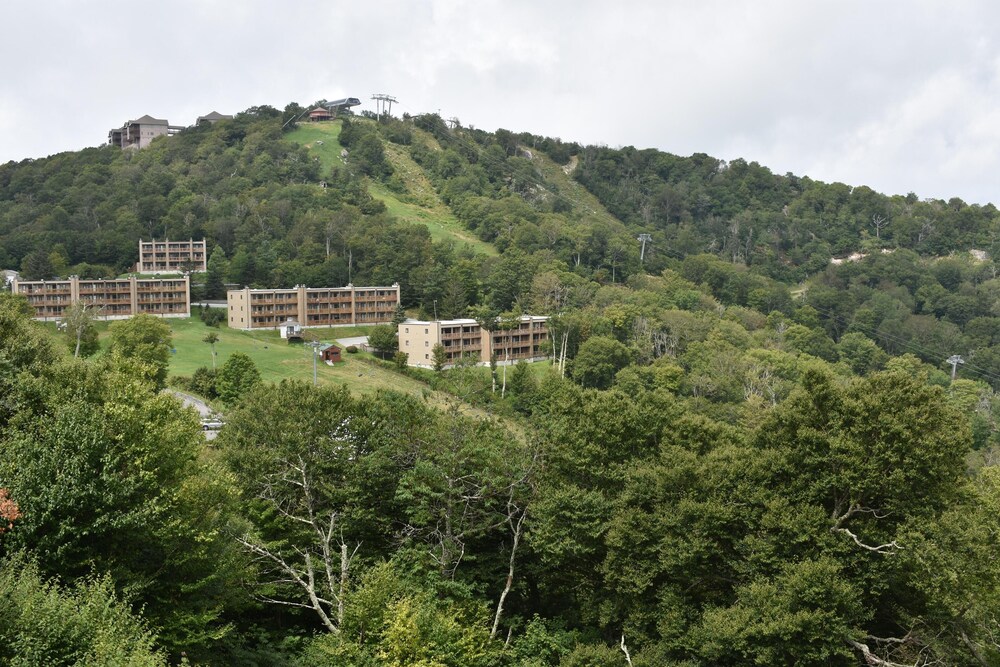Sugar Ski & Country Club Unit 11-402 Bronze view 3