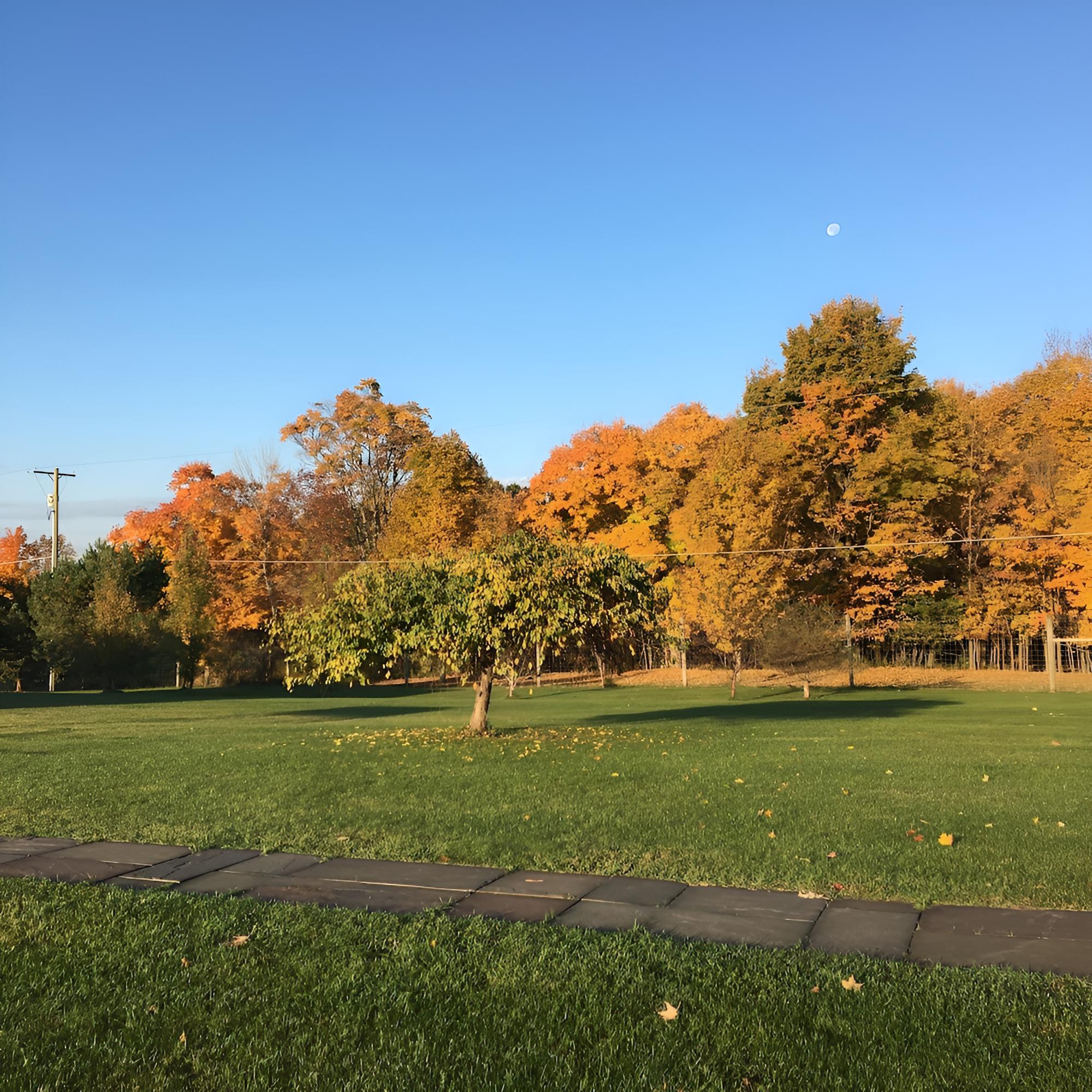 Ashling Acres