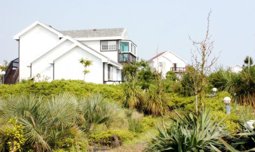 Sharon's House