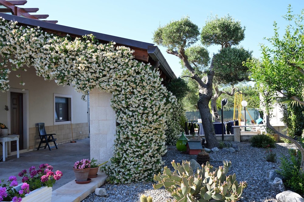 B&B Delle Rondini