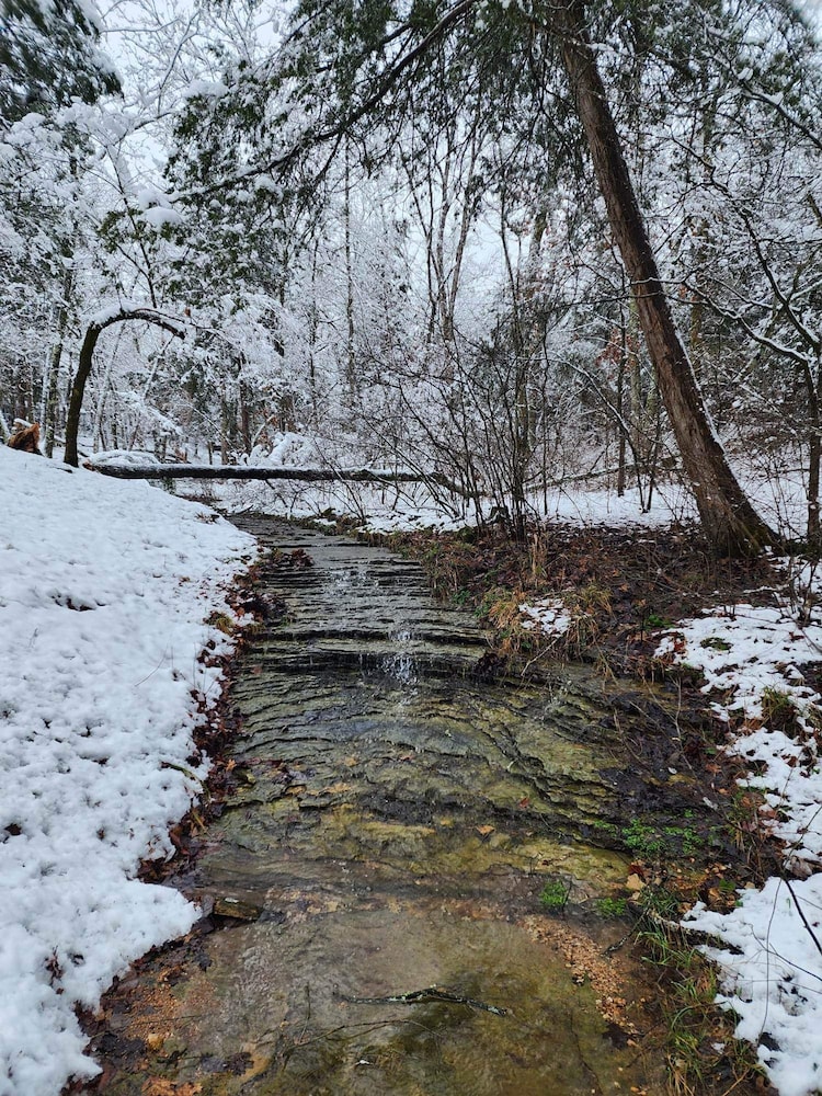 Whispering Hollow in Eureka Springs