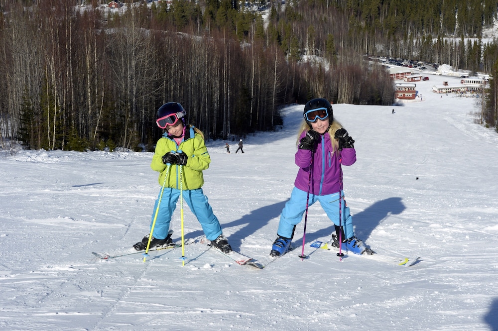 Hassela Ski Resort Cabins