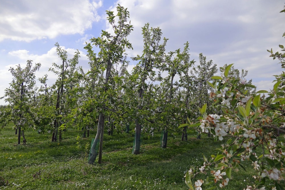 Located Near Maastricht Towards the Belgium Border view 3