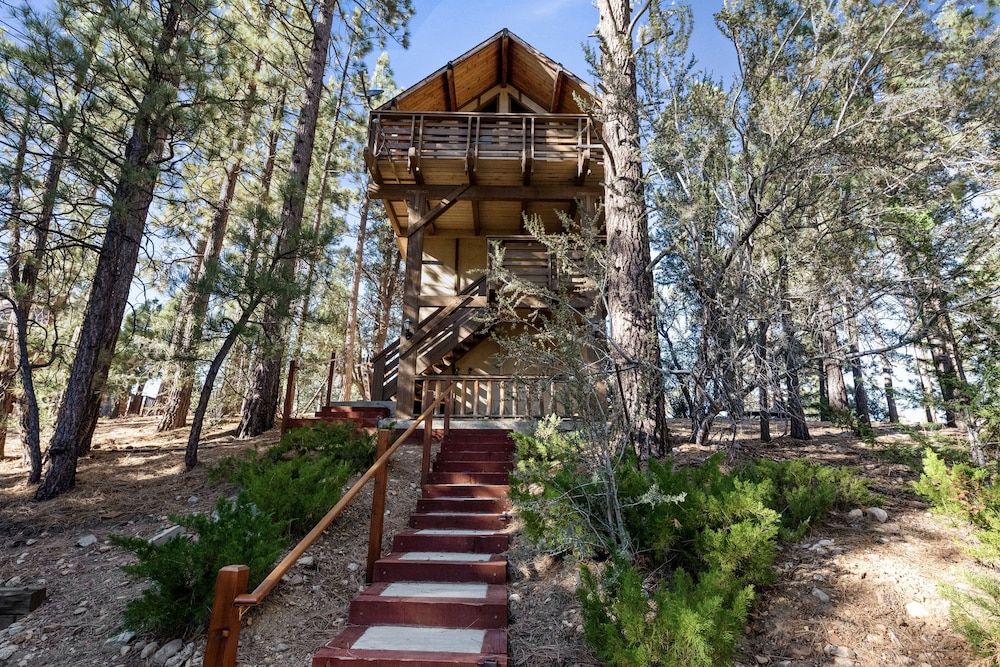 TreeHouse on Rainbow