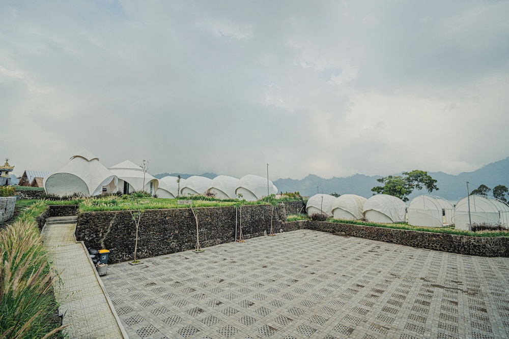 Onion Hill Glamping