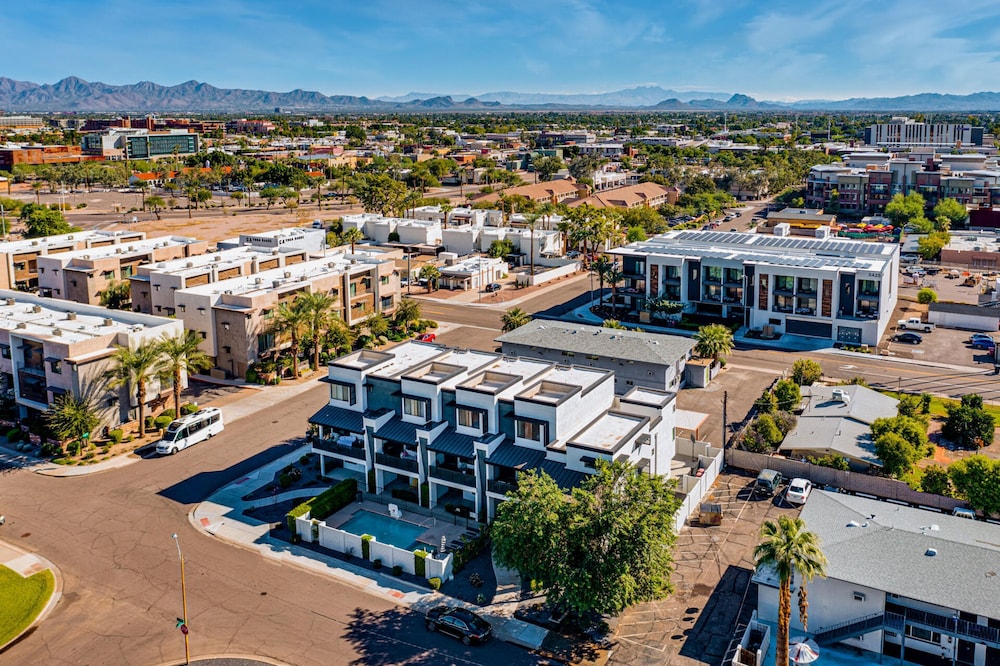 NEW Desert Standard Modern 3-level Oasis