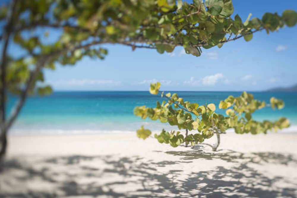 Spice Island Beach Resort 100