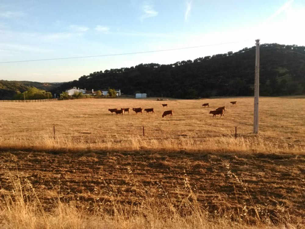 Finca La vega