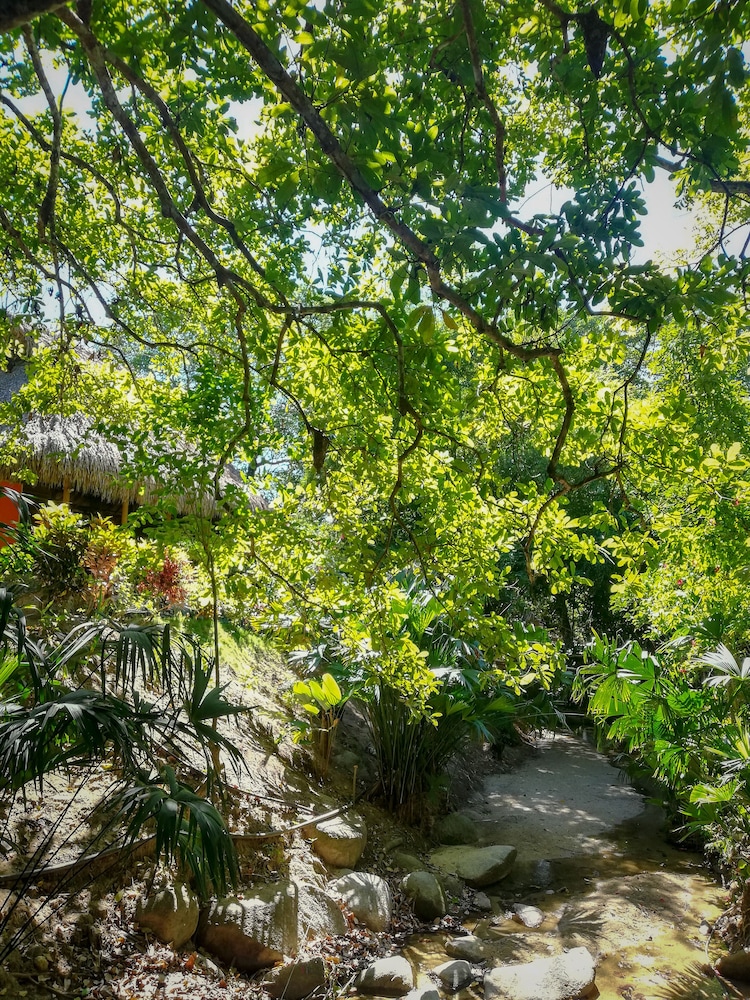 Ecohabs Bosques del Tayrona