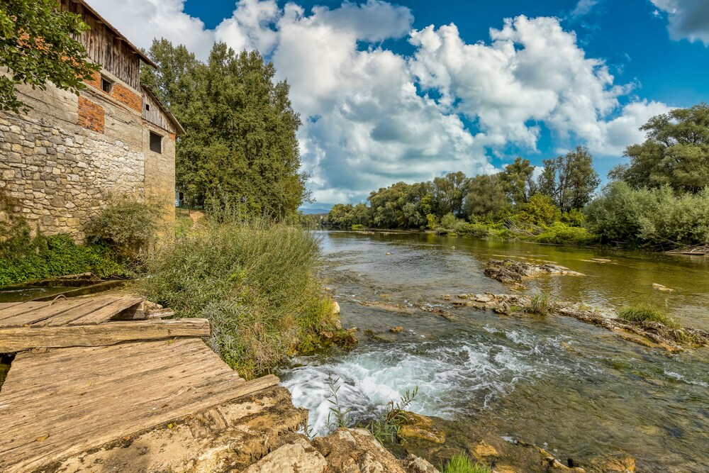 Photo 22