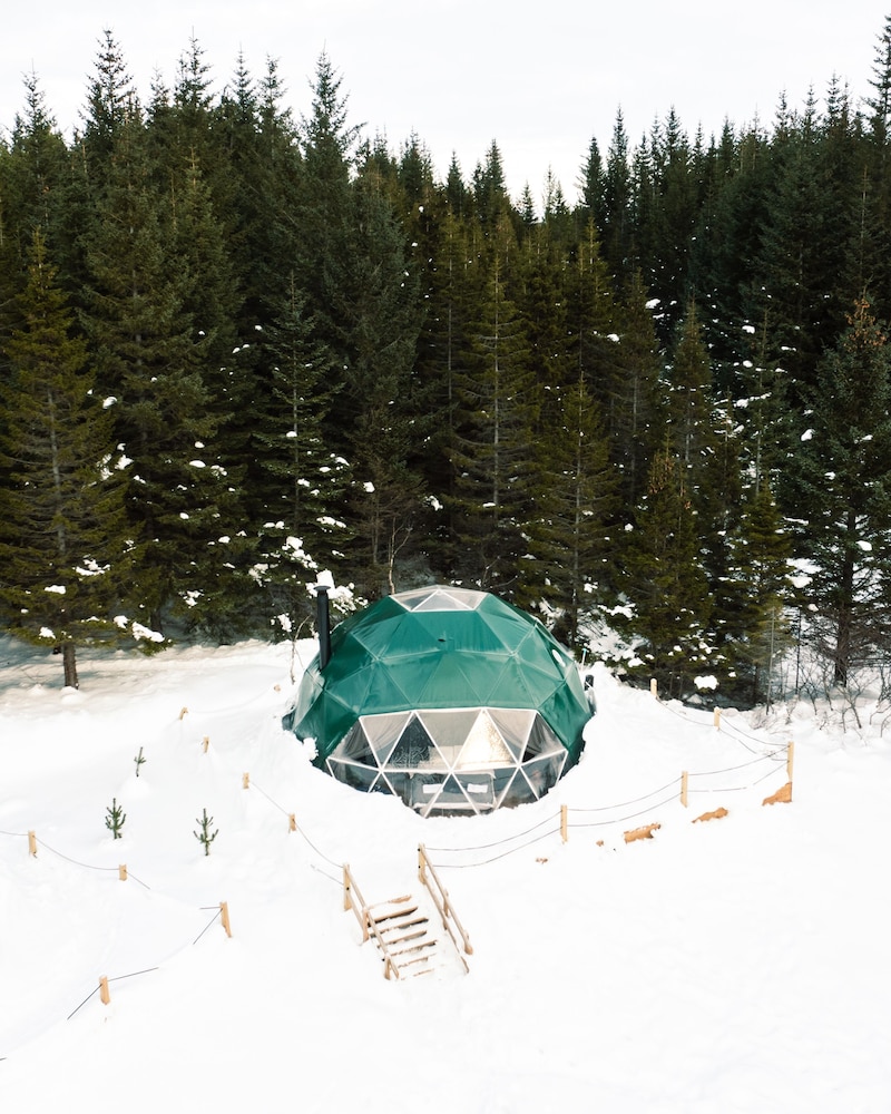 Hotel Golden Circle Domes Glamping Experience - Image 1
