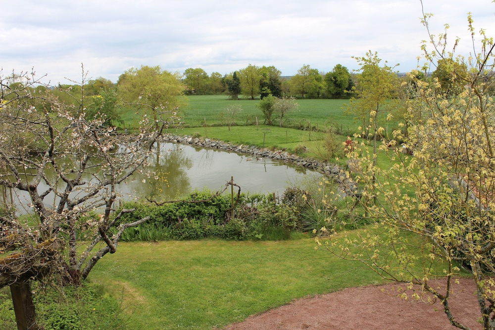 Photo 10
