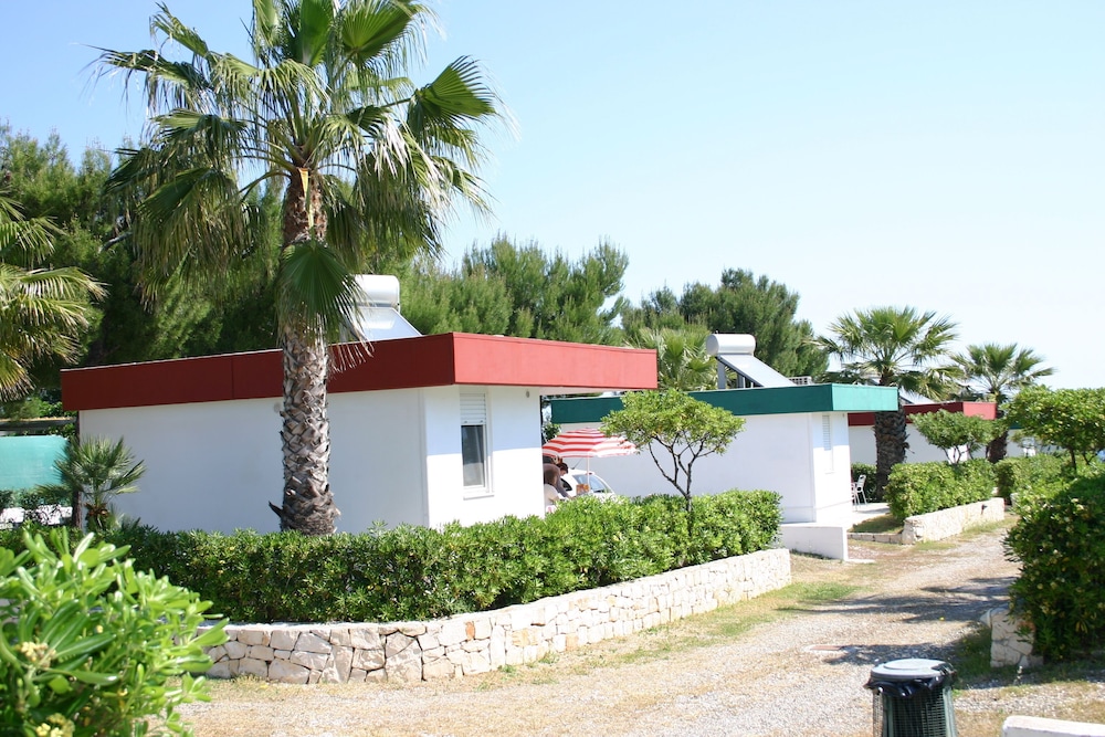 Photo 46